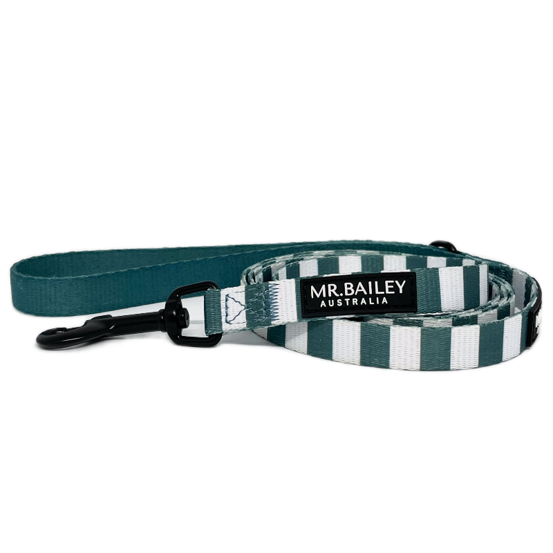 Lead - Teal Stripe