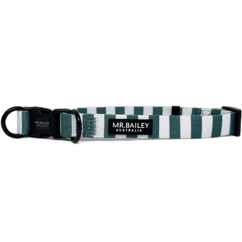 Collar - Teal Stripe